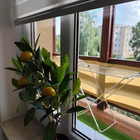 Conco Apartment